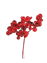 Picture of 8.5" Mixed Red Berry Spray