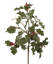 Picture of 18" Real Touch PVC Holly W/Glitter Berries Twig Pick