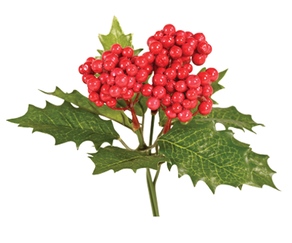 Picture of 10" Holly Berry Bundle x 3