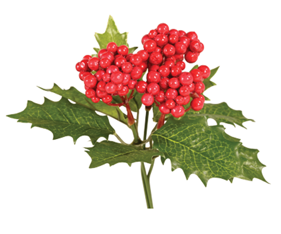 Picture of 10" Holly Berry Bundle x 3