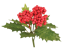 Picture of 10" Holly Berry Bundle x 3