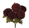 Picture of 18" Dahlia Bush x 5 - Plum