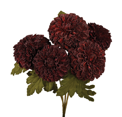 Picture of 18" Dahlia Bush x 5 - Plum