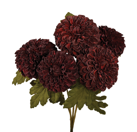 Picture of 18" Dahlia Bush x 5 - Plum