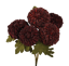 Picture of 18" Dahlia Bush x 5 - Plum
