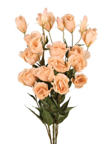 Picture of 26" Lisianthus Bush (Beige)