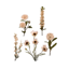 Picture of Bouquet In A Box Cream