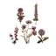 Picture of Bouquet In A Box Lavender