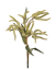 Picture of 25" Mini Amaranthus Spray x 2 - Pale Olive
