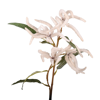 Picture of 25" Mini Amaranthus Spray x 2 - White