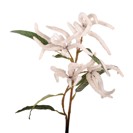 Picture of 25" Mini Amaranthus Spray x 2 - White