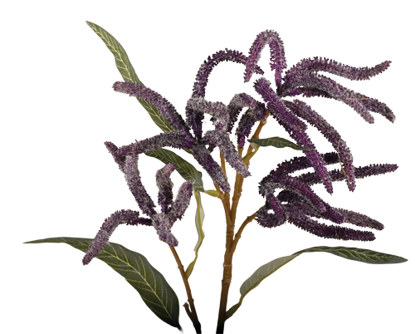 Picture of 25" Mini Amaranthus Spray x 2 - Purple