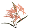 Picture of 25" Mini Amaranthus Spray x 2 - Mauve