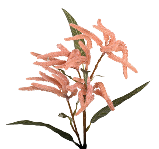 Picture of 25" Mini Amaranthus Spray x 2 - Mauve