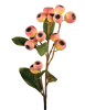 Picture of 24" Hawthorn Spray - Peach