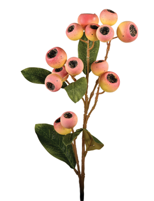 Picture of 24" Hawthorn Spray - Peach
