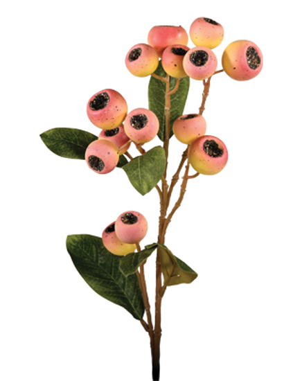 Picture of 24" Hawthorn Spray - Peach