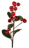 Picture of 24" Hawthorn Spray - Red