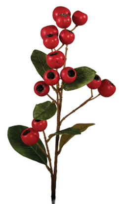 Picture of 24" Hawthorn Spray - Red