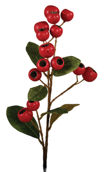 Picture of 24" Hawthorn Spray - Red