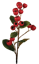 Picture of 24" Hawthorn Spray - Red