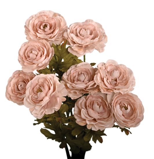 Picture of 21" Ranunculus Bush x 9 - Ivory