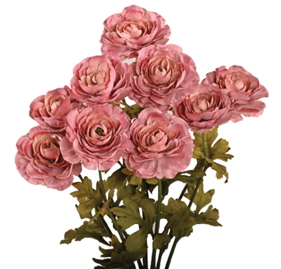 Picture of 21" Ranunculus Bush x 9 - Mauve