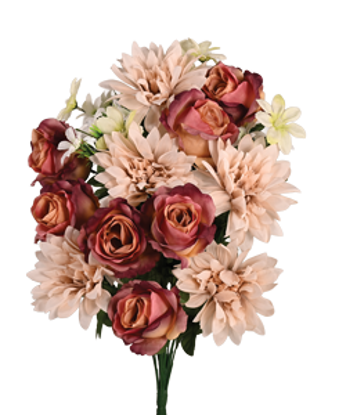 Picture of 23" Rose Dahlia Bush x 18