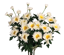 Picture of 17.5" Zinnia Bush x 5 - Cream