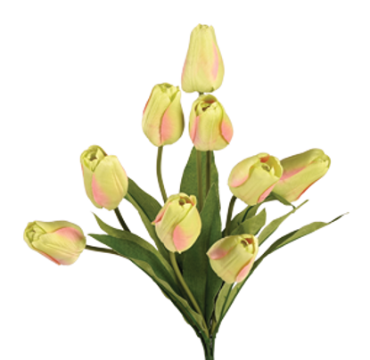 Picture of 17.5" Satin Tulip Bush x 9 - Spring Green