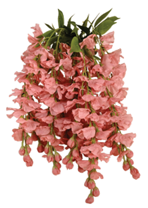 Picture of 18" Wisteria Bush x 9 - Dusty Pink