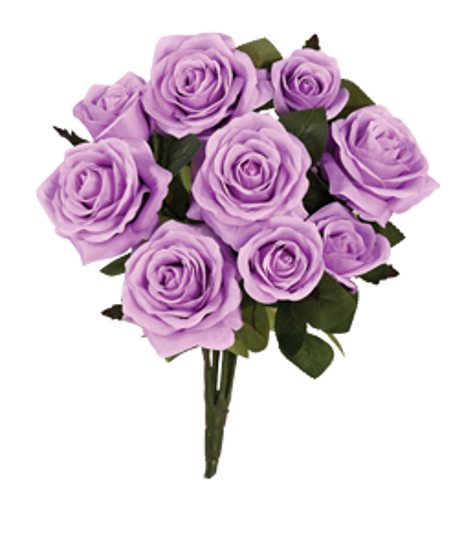 Picture of 15" Garden Rose Bush x 9 - Lilac