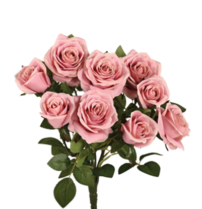 Picture of 15" Garden Rose Bush x 9 - Mauve