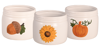 Picture of Fall Trio Pot 4.25"