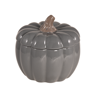 Picture of Gray Pumpkin Pot W/Lid 6.5"
