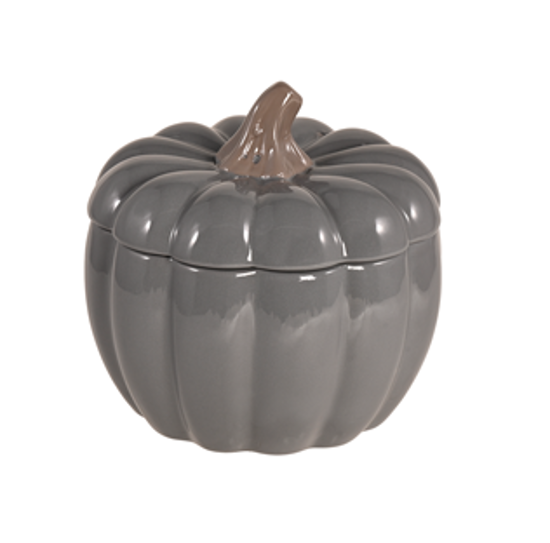 Picture of Gray Pumpkin Pot W/Lid 6.5"