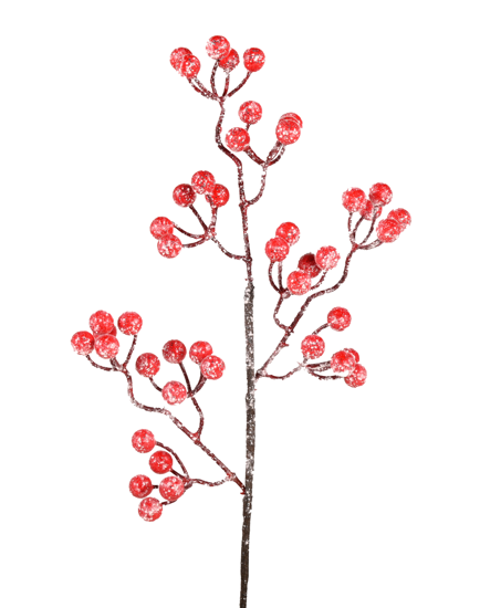 Picture of 18" Frosted Red Berry Spray x 3