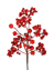 Picture of 18" Mixed Red Berry Spray x 6