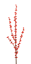 Picture of 28" Ilex Red Berry Spray