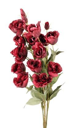 Picture of 26" Lisianthus Bush (Burgundy)