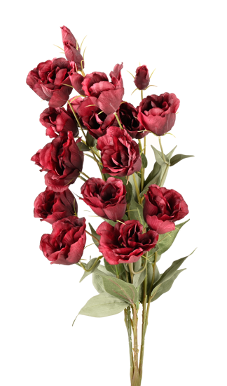 Picture of 26" Lisianthus Bush (Burgundy)