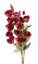 Picture of 26" Lisianthus Bush (Burgundy)