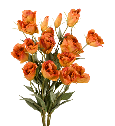 Picture of 26" Lisianthus Bush (Rust)