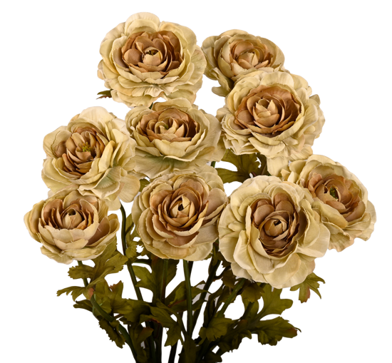 Picture of 21" Ranunculus Bush x 9 - Pale Olive