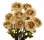 Picture of 21" Ranunculus Bush x 9 - Pale Olive
