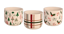 Picture of 3 Asst Holiday Cheer Pot 5.5"