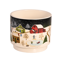 Picture of Alpine Village Pot 4.5"
