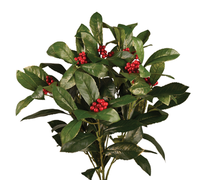 Picture of 20" laurel Leaf W/Berries Bush x 7