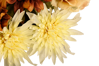 Picture of 23" Sunflower Rose Mum Delphinium Bush x 12