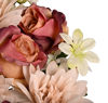 Picture of 23" Rose Dahlia Bush x 18